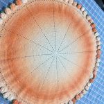Gradient Ombre Hand-Crocheted Blanket Bouquet with Rose Border-【LOOM-006】 - Image 3