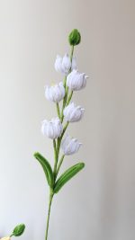 Crochet Bell Flower Bouquet Stem | Handmade Kawaii Flower Decor Gift -【LOOM-046】 - Image 18