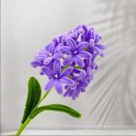 Crochet Hyacinth Bouquet | Handmade Kawaii Spring Flower Decor Gift -【LOOM-042】 - Image 6